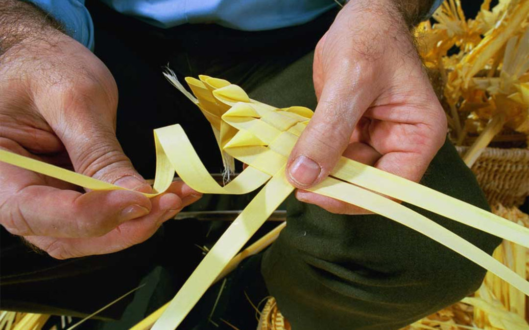 Cuaresma en la Hermandad. Curso-taller de trenzado de palmas