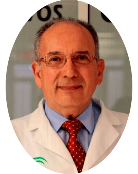 jose perez bernal